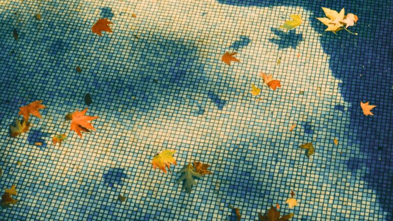 fall-pool-service